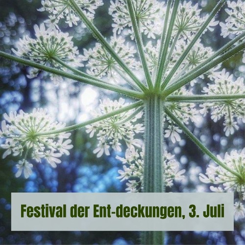 Ent-deckungen Festival