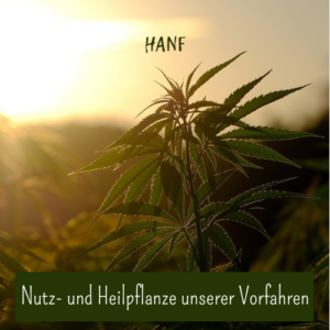 Hanf